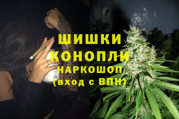 молекула духа Вязники