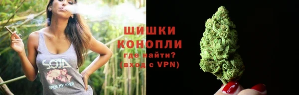 трава Горно-Алтайск