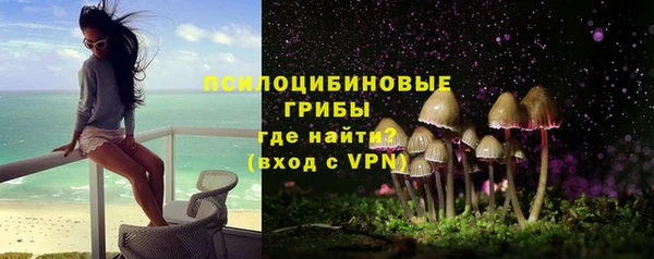 молекула духа Вязники