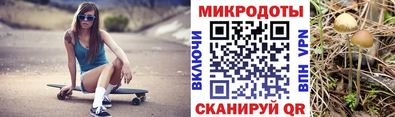 Галлюциногенные грибы Cubensis  Купить закладки  Куртамыш 