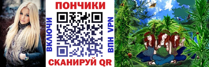 Купить где  Куртамыш  Бошки марихуана ГИДРОПОН 